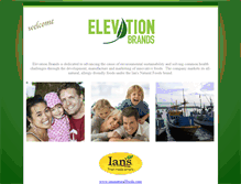 Tablet Screenshot of elevationbrands.com